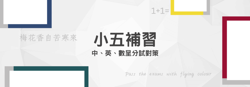 中文保證奪A課程